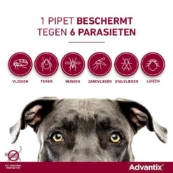 Advantix 400 4 Pipetten 8 Advantix 400 4 Pipetten -Pets Care Verkoop Advantix pipettegen6parasieten 3