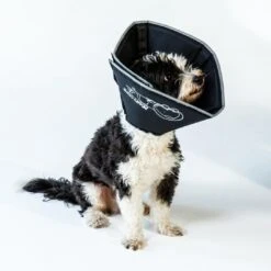 Comfy Cone Black -Pets Care Verkoop CCM 1