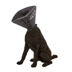 Comfy Cone Black -Pets Care Verkoop CCML 1