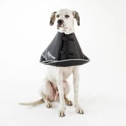 Comfy Cone Black -Pets Care Verkoop CCML 3