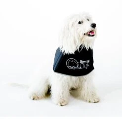 Comfy Cone Black -Pets Care Verkoop CCS 1