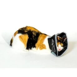 Comfy Cone Black -Pets Care Verkoop CCS 3