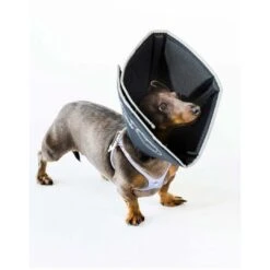 Comfy Cone Black -Pets Care Verkoop CCSL 1