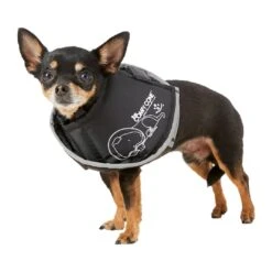 Comfy Cone Black -Pets Care Verkoop CCXS 3
