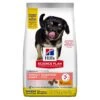 Hill's Science Plan Puppy Perfect Digestion Medium Met Kip En Bruine Rijst Hondenvoer 14kg 1 Hill's Science Plan Puppy Perfect Digestion Medium Met Kip En Bruine Rijst Hondenvoer 14kg -Pets Care Verkoop Hills Science Plan Puppy Perfect Digestion 1