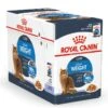 Royal Canin Kattenvoer Ultra Light Jelly 12 X 85 Gr -Pets Care Verkoop Light Weight Care in Jelly Closed Box