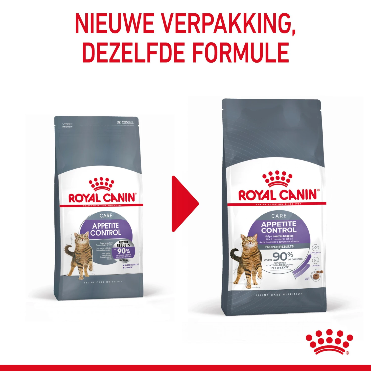 Royal Canin Appetite Control Kattenvoer 10kg 5 Royal Canin Appetite Control Kattenvoer 10kg - Image 3