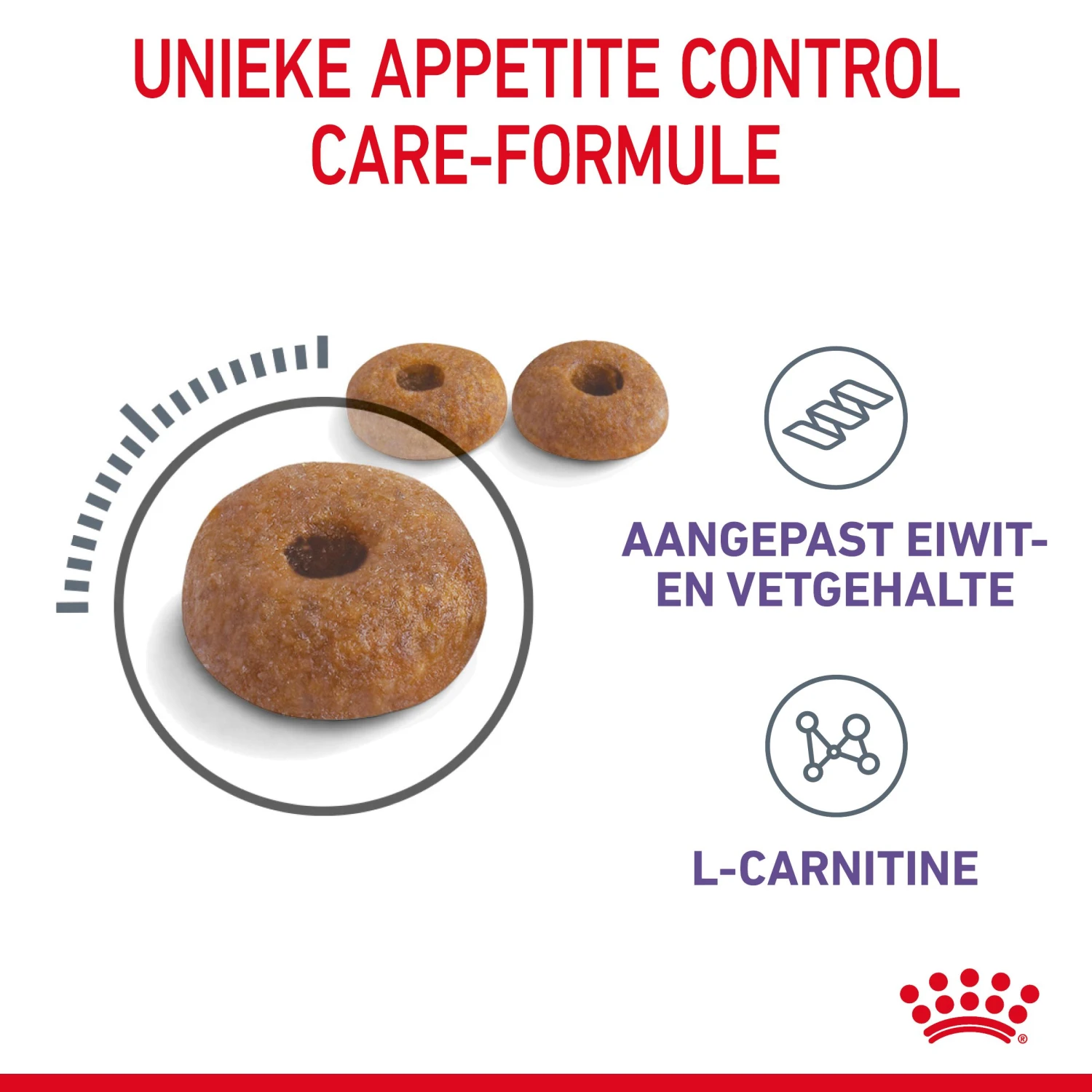 Royal Canin Appetite Control Kattenvoer 10kg 7 Royal Canin Appetite Control Kattenvoer 10kg - Image 5