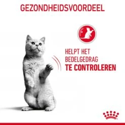 Royal Canin Appetite Control Kattenvoer 10kg 20 Royal Canin Appetite Control Kattenvoer 10kg -Pets Care Verkoop Royal Canin Appetite Control Care Kat NL 07