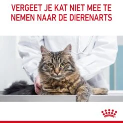 Royal Canin Appetite Control Kattenvoer 2kg -Pets Care Verkoop Royal Canin Appetite Control Care Kat NL 11 1