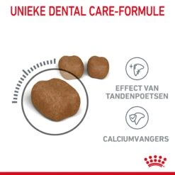 Royal Canin Dental Care Kattenvoer 1,5kg -Pets Care Verkoop Royal Canin Dental Care Kat NL 04