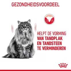 Royal Canin Dental Care Kattenvoer 1,5kg -Pets Care Verkoop Royal Canin Dental Care Kat NL 06