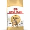 Royal Canin Bengal Adult Kattenvoer 2kg -Pets Care Verkoop Royal Canin Feline Breed Nutrition Bengal Cat