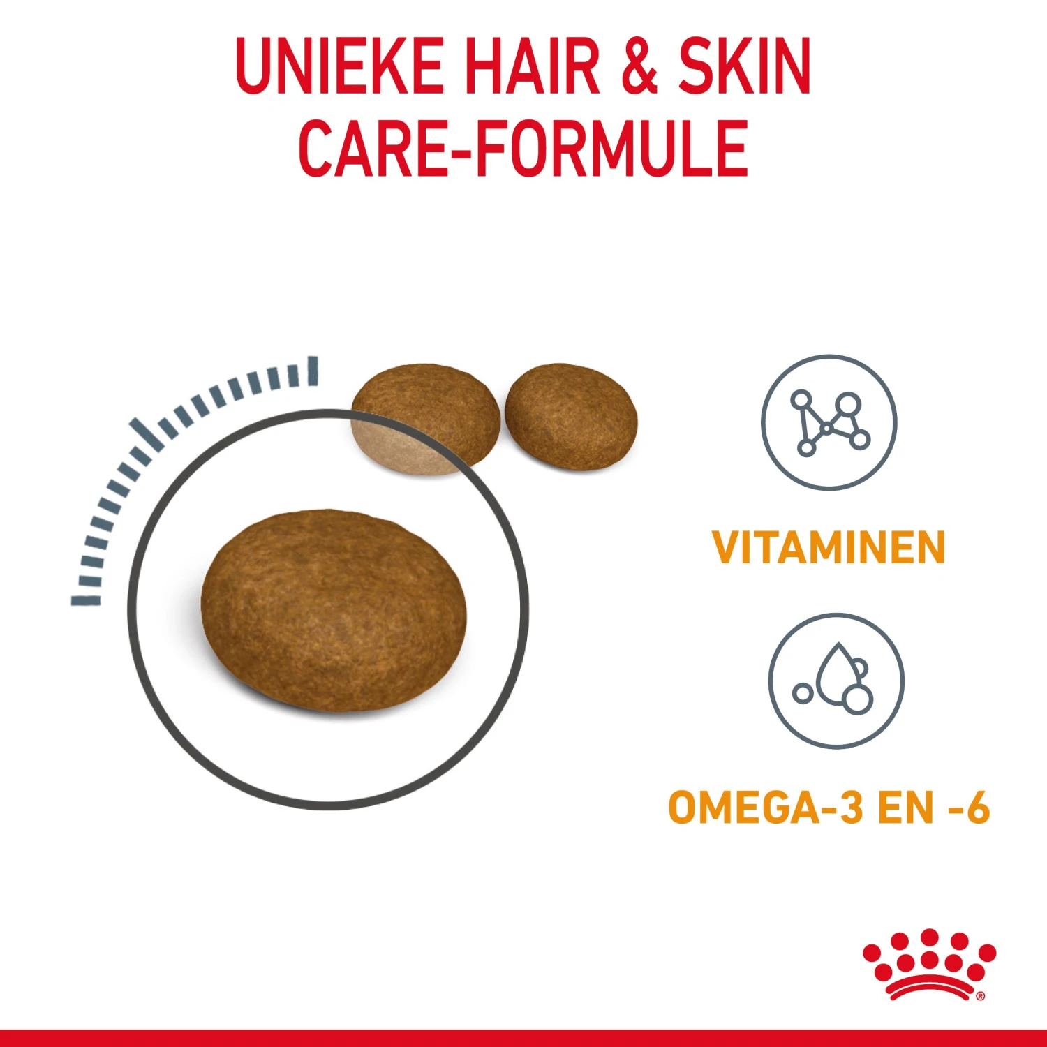 Royal Canin Hair & Skin Care Kattenvoer 4kg 7 Royal Canin Hair & Skin Care Kattenvoer 4kg - Image 5