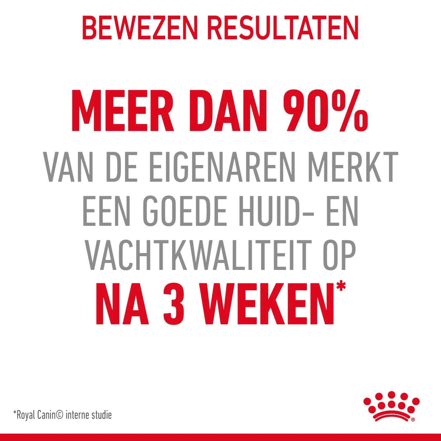 Royal Canin Hair & Skin Care Kattenvoer 4kg 8 Royal Canin Hair & Skin Care Kattenvoer 4kg - Image 6