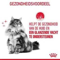 Royal Canin Hair & Skin Care Kattenvoer 2kg -Pets Care Verkoop Royal Canin Hair Skin Care Kat NL 07