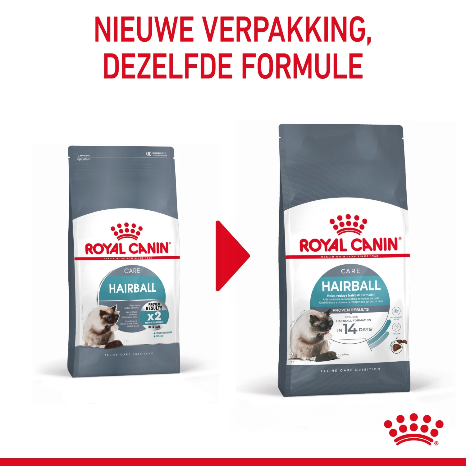 Royal Canin Hairball Care Kattenvoer 10kg 5 Royal Canin Hairball Care Kattenvoer 10kg - Image 3