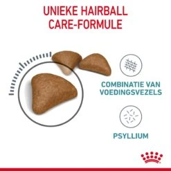Royal Canin Hairball Care Kattenvoer 10kg 18 Royal Canin Hairball Care Kattenvoer 10kg -Pets Care Verkoop Royal Canin Hairball Care Kat NL 05
