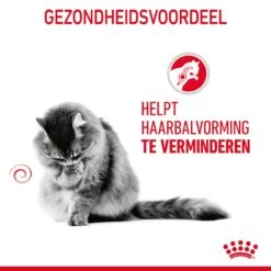 Royal Canin Hairball Care Kattenvoer 4kg 20 Royal Canin Hairball Care Kattenvoer 4kg -Pets Care Verkoop Royal Canin Hairball Care Kat NL 07 1