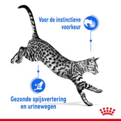 Royal Canin Indoor Sterilised In Jelly Kattenvoer 12x85g -Pets Care Verkoop Royal Canin Indoor Sterilised Jelly Kat NL 3