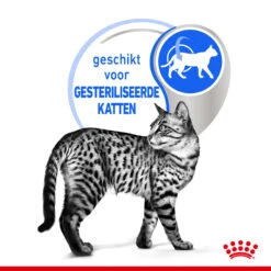 Royal Canin Indoor Sterilised In Jelly Kattenvoer 12x85g -Pets Care Verkoop Royal Canin Indoor Sterilised Jelly Kat NL 4