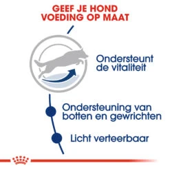 Royal Canin Maxi Adult 5+ Hondenvoer - 15kg -Pets Care Verkoop Royal Canin Maxi Adult 5plus Hond NL 4