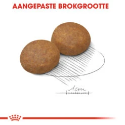Royal Canin Maxi Adult 5+ Hondenvoer - 10kg -Pets Care Verkoop Royal Canin Maxi Adult 5plus Hond NL 5 1
