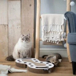 District 70 SNAKE White 7 District 70 SNAKE White -Pets Care Verkoop Snake wit 2