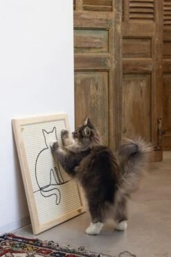 Designed By Lotte Hout Krabplank Sammy -Pets Care Verkoop Web 0409140 sfeer1