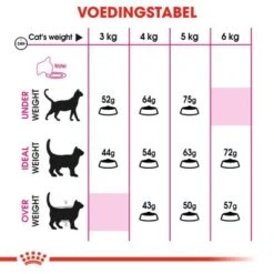 Royal Canin Aroma Exigent Kattenvoer 2kg 7 Royal Canin Aroma Exigent Kattenvoer 2kg -Pets Care Verkoop a2196c835232e23eecabd05c83f024d253a33c473edb092041e702285d61dfda 1