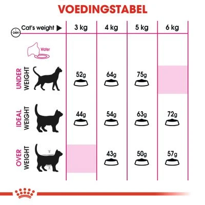 Royal Canin Aroma Exigent Kattenvoer 2kg 5 Royal Canin Aroma Exigent Kattenvoer 2kg - Image 3