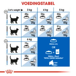 Royal Canin Indoor Long Hair Kattenvoer 2kg -Pets Care Verkoop ad11c344a3e597c11c946743fe17e2247535be5fc496e66e7a85d328671c6de0 1