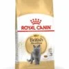Royal Canin British Shorthair 34 - Kattenvoer - 4kg -Pets Care Verkoop afc19574b28a648079ac9c534146bd06d85f42ca56dfc77351cff66cf53fdce9