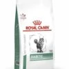 Royal Canin Diabetic - Kattenvoer - 1,5kg 2 Royal Canin Diabetic - Kattenvoer - 1,5kg -Pets Care Verkoop cc73e610383b4535e7926f90dec23209488799e92ca2c7a889e1f3633fe6a64c