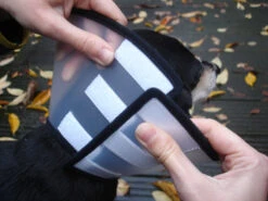 Flamingo Beschermkraag Capo 31,5cm -Pets Care Verkoop e2578f0de7dfac1a438fa05f0c616aa46fff5514395f242304922963edc56053