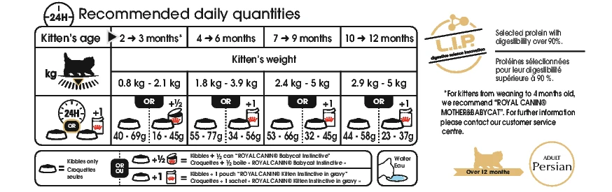 Royal Canin Persian Kitten 4kg 4 Royal Canin Persian Kitten 4kg - Image 2