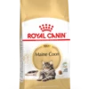 Royal Canin Maine Coon 31 - Kattenvoer - 10kg -Pets Care Verkoop f67c05eb8d1eb615e49a2186f41eaaaa02718e2842efd6a20895edc530c4b66f