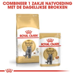 Royal Canin British Shorthair 34 - Kattenvoer - 4kg -Pets Care Verkoop rc fbn britishsh cv eretailkit 4 nl nl 1