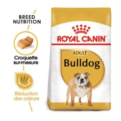 Royal Canin English Bulldog Adult - Hondenvoer - 12kg -Pets Care Verkoop royal canin boulldog anglais adult bulldog bouledogue anglais bulldog 1