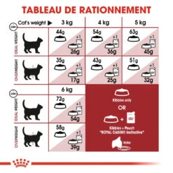 Royal Canin Fit 32 Kat 10kg -Pets Care Verkoop royal canin fit fit 4