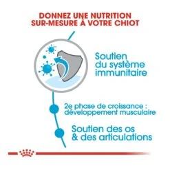 Royal Canin Giant Junior - Hondenvoer - 15kg -Pets Care Verkoop royal canin giant junior giant junior 2