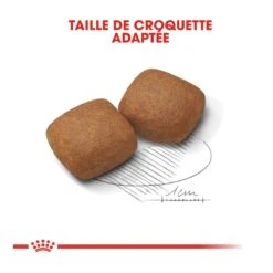 Royal Canin Giant Junior - Hondenvoer - 15kg -Pets Care Verkoop royal canin giant junior giant junior 3