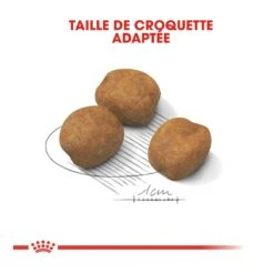 Royal Canin Giant Puppy - Hondenvoer - 15kg -Pets Care Verkoop royal canin giant puppy giant puppy 3