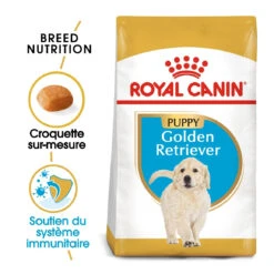 Royal Canin Golden Retriever Puppy - Hondenvoer - 12kg -Pets Care Verkoop royal canin golden retriever puppy golden retriever junior 1