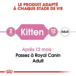 Royal Canin Kitten In Gravy Kat 12x 85g -Pets Care Verkoop royal canin kitten sauce pour chaton royal canin 1