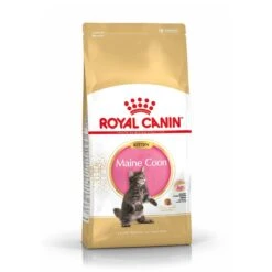 Royal Canin Maine Coon Kitten Kat 10kg -Pets Care Verkoop royal canin maine coon kitten maine coon kitten