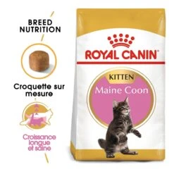 Royal Canin Maine Coon Kitten Kat 10kg -Pets Care Verkoop royal canin maine coon kitten maine coon kitten 1