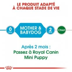 Royal Canin Mini Starter Mother & Babydog 8kg -Pets Care Verkoop royal canin mini starter mini starter 4