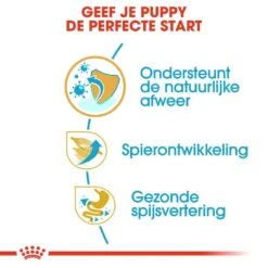 Royal Canin Hondenvoer Boxer Puppy 12 Kg -Pets Care Verkoop royal canin boxer junior pup hond boxer hero usp