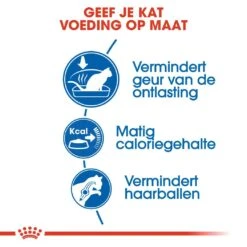 Royal Canin Kattenvoer Indoor 27 10 Kg -Pets Care Verkoop royal canin indoor 27 volwassen kat binnenkatten hero usp